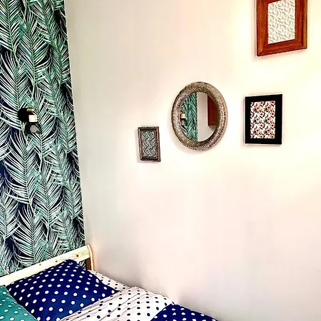 Modernguestniort - Paradis ניורט